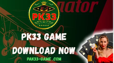 pk333 game