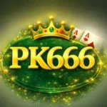 pk666